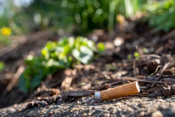 Sensibilisation Pollution Mégots Cigarettes Jetés par Terre