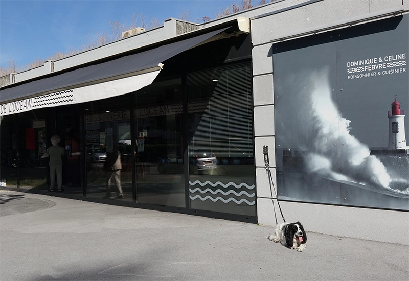Attache laisse pour chien devant un commerce Attache laisse pour chien devant une poissenerie avec une laisse et un chien dessus.