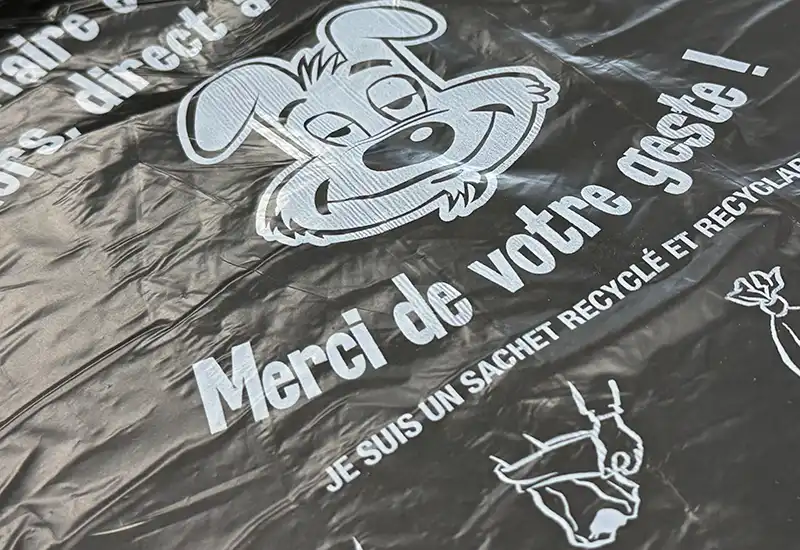 Canin aprico bag Aprico dog bag with a zoom on the dog's head and slogan.