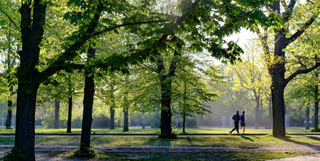 poubelles-espaces-verts