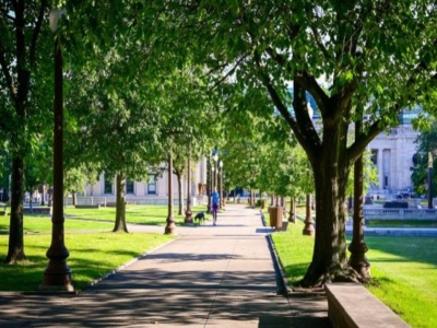Poubelles extérieures et espaces verts : Allier fonctionnalité et respect de l'e