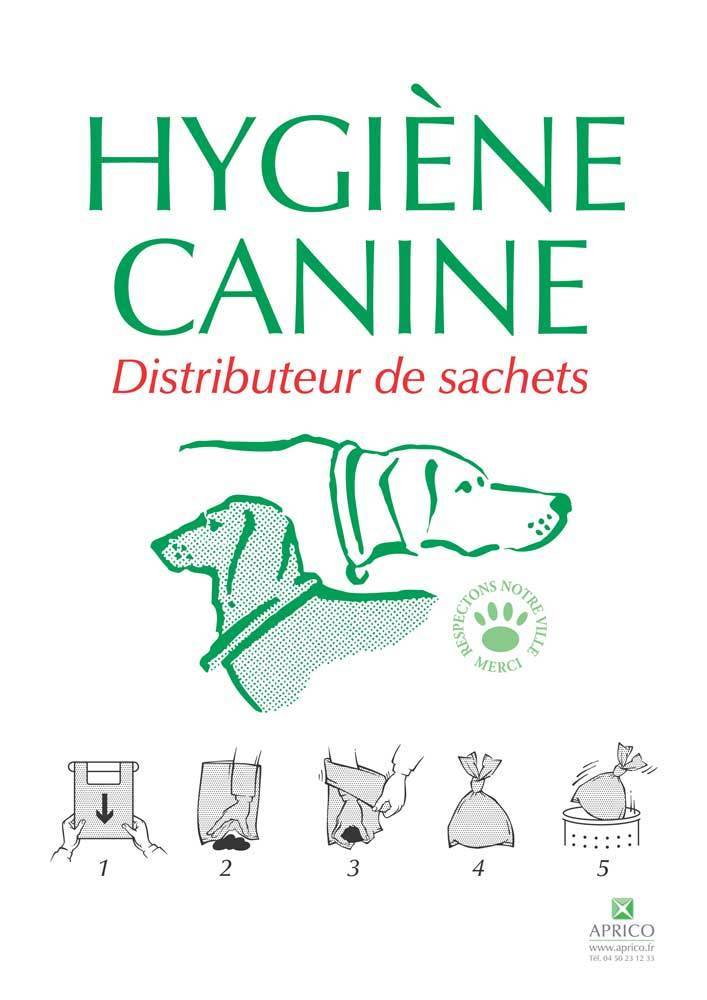 Hygiène canine vert