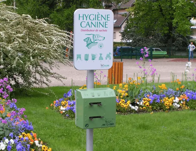 Hygiène canine