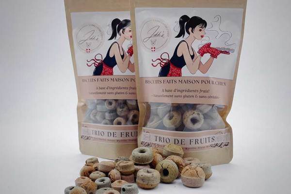 Les Meilleurs Biscuits pour Chiens Naturels, Artisanaux, Bio, Français