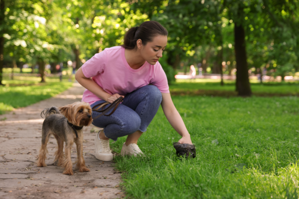 Comment la gestion des cacas de chien améliore concrètement la qualité de vie dans nos communes.